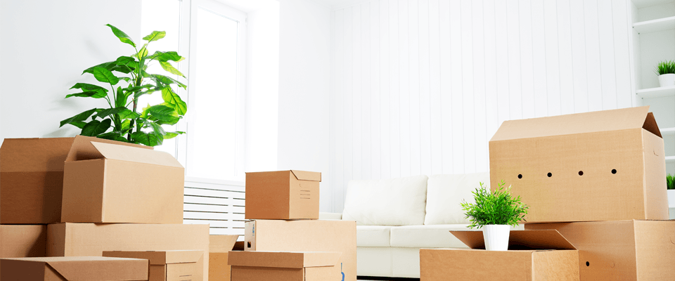 I'm moving house: how should I manage my gas and electricity contract?